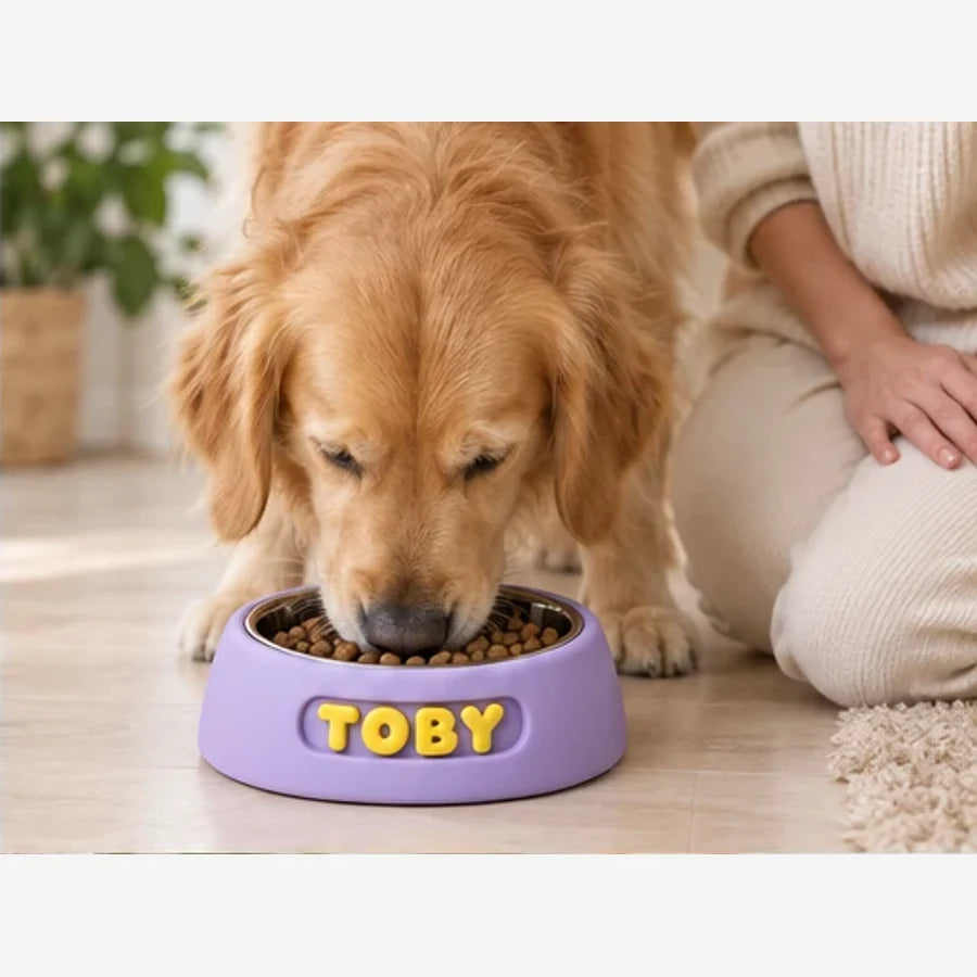 Gamelle pour chien personnalisable Miam — en situation, visuel illustratif
