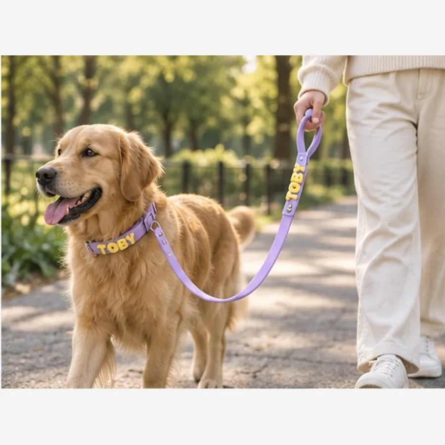 Laisse pour chien personnalisable Sunday — en situation, visuel illustratif