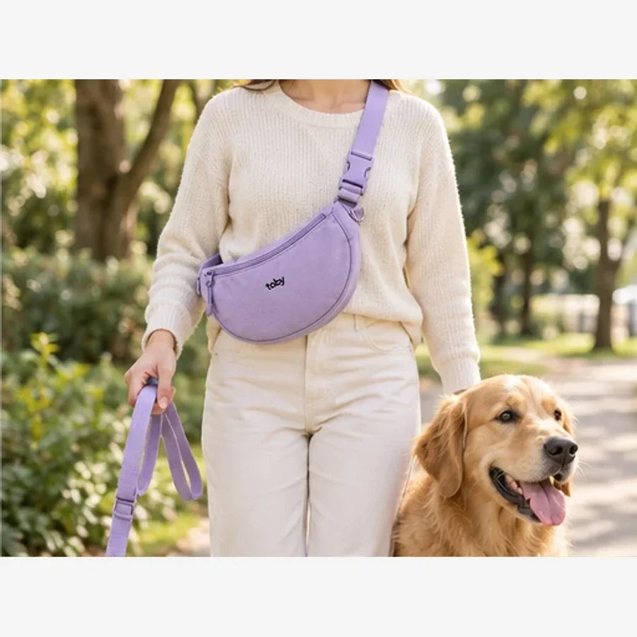 Que mettre dans son sac pour promener son chien ? — visuel illustratif Tobyz
