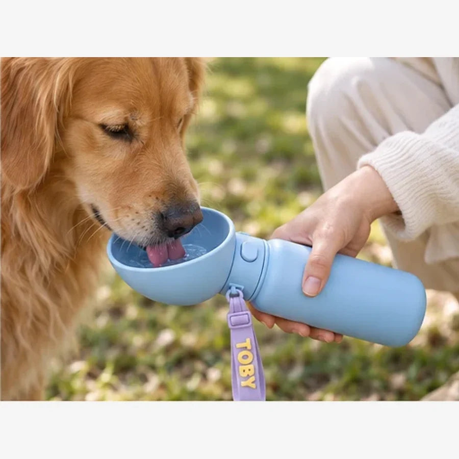 Quelle gourde choisir pour les balades avec son chien ? — visuel illustratif Tobyz