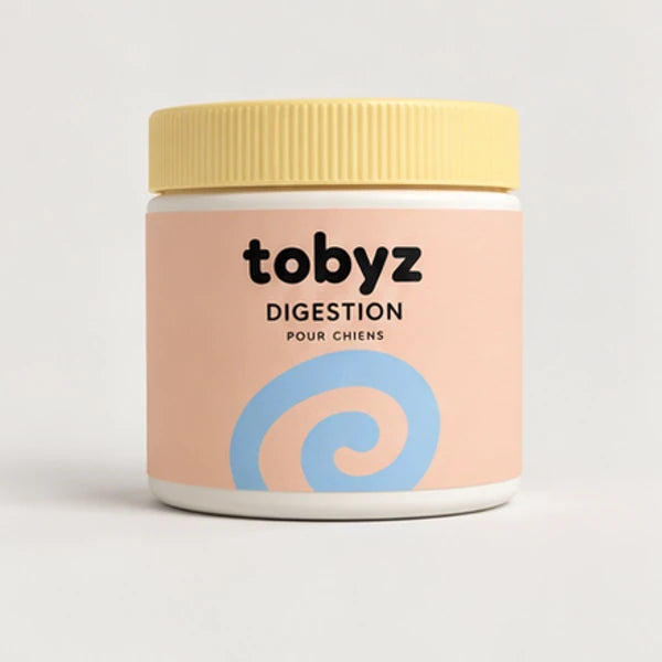 Digestion pour chien — vue du produit, visuel illustratif