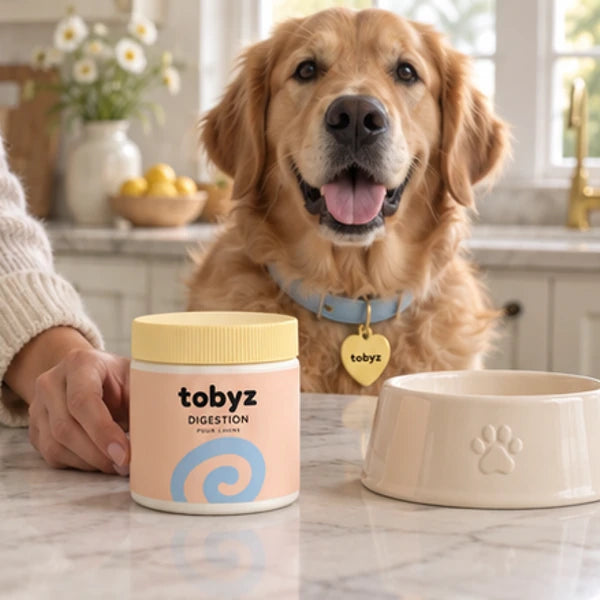 Digestion pour chien — en situation, visuel illustratif