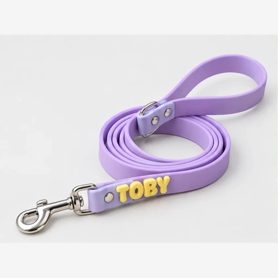 Laisse pour chien personnalisable Sunday — vue du produit, visuel illustratif