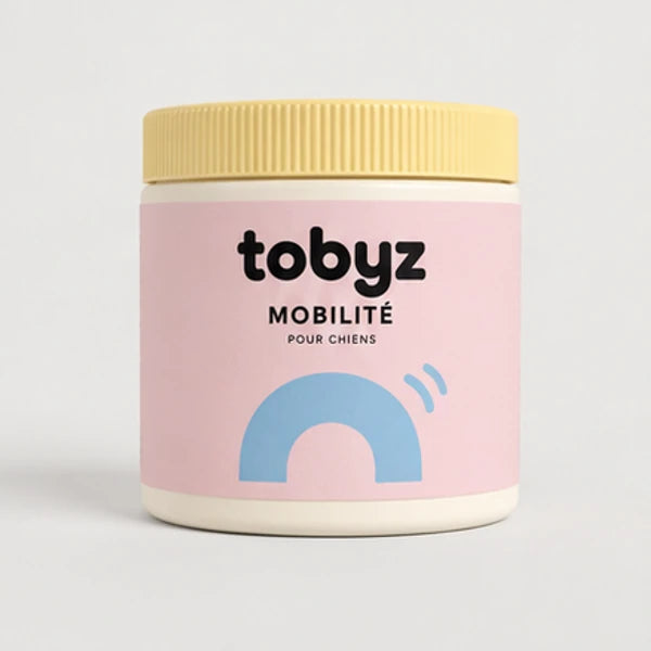 Mobilité pour chien — vue du produit, visuel illustratif