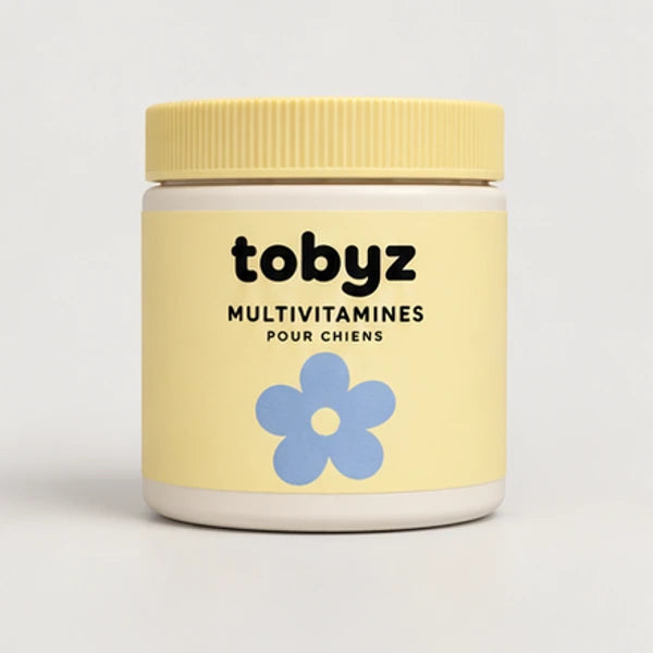 Multivitamines pour chien — vue du produit, visuel illustratif
